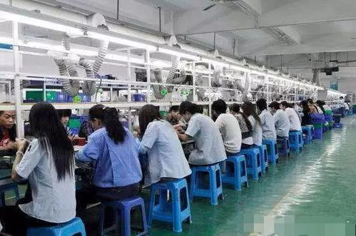 無學歷無技術背景下的職業新選擇 技術推廣崗位的可行性分析